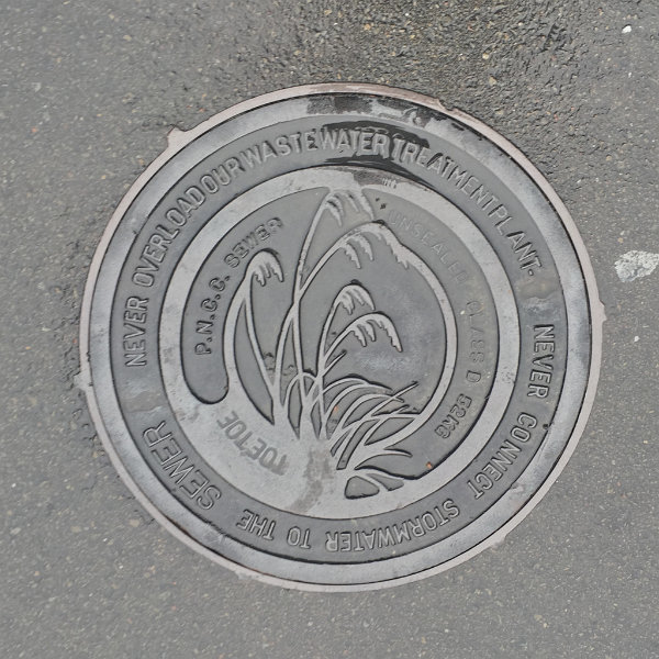 Palmerston North, Neuseeland (NLZ)