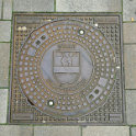 Cloppenburg, Niedersachsen, Deutschland (DE)