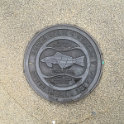 Palmerston North, Neuseeland (NLZ)