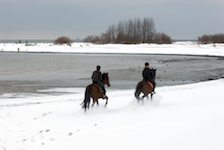 Bildergalerie "Winterliche Impressionen"