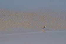 Bildergalerie "minimal"